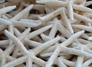 Ile kosztuje 1 kolektor słoneczny?