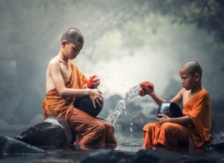 Ile kosztuje czyszczenie pierza?