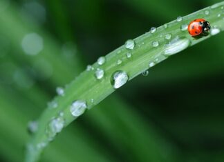 Jaką pościel na kołdra 160x200?