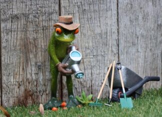 Ile kosztuje abonament alarmowy?