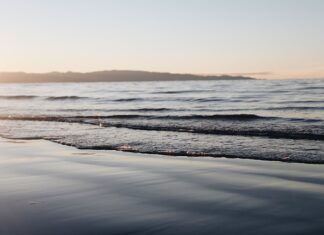 Jak zrobić dobre shoty?