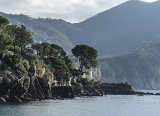 Ile kosztuje Blue Curacao?