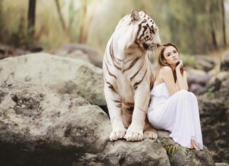 Ile kosztuje całodobowa ochrona osobista?